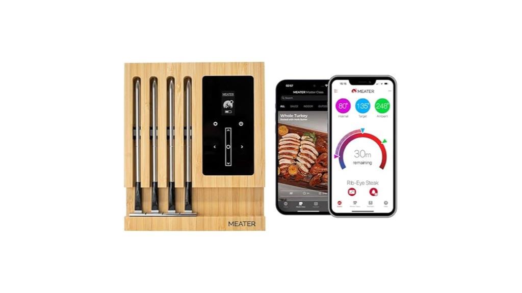 wireless meat thermometer with probes