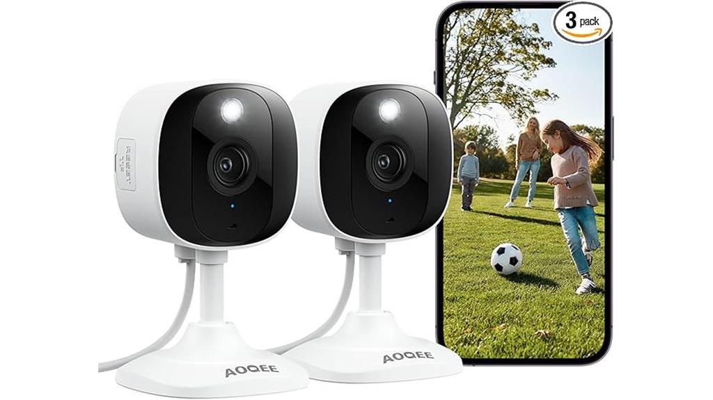 dual indoor outdoor security cameras