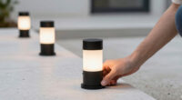 6 Best Smart Path Lights in 2026