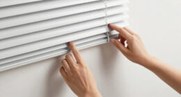 7 Best Smart Blinds in 2026 — The Ultimate Guide for Automated Windows