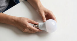 9 Best Best Premium Smart Light Bulbs in 2026