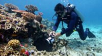 Footage of diving instructor Miyakojima Kuni-san dropping his camera into a hole underwater