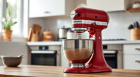 How to Clean a KitchenAid Professional 600 Mixer Safely