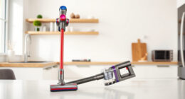 Best Dyson Cordless Vacuum for Pet Hair (2026) — Guide 13