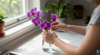 Costco’s $25 Floating Orchids Look Better Than A $500 Florist Arrangement