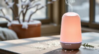 AROMADD Smart Scent Diffuser: A Winter Home Review
