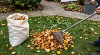 Don’t Throw Out Your Raked Leaves—Here Are 7 Smart Things To Do With Them Instead