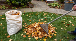 Don’t Throw Out Your Raked Leaves—Here Are 7 Smart Things To Do With Them Instead