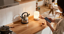 Hands-on With The Apple Home Collection