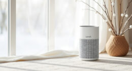 Levoit Core Mini-P: Winter Care for Cleaner Small Rooms