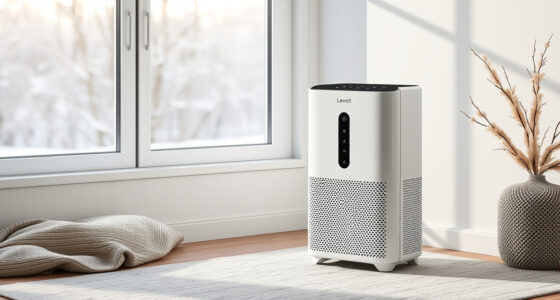 Levoit Vital 200S-P: A Winter Black Friday Buy or Wait?