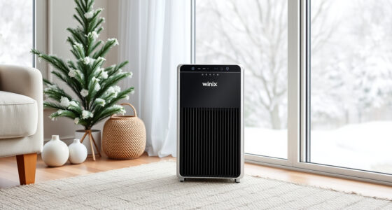 Winter Care Guide for the Winix 5510 Air Purifier